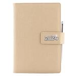 Diary BRILLIANT daily A5 2024 Czech - gold