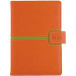 Diary MAGNETIC daily A5 2024 Czech - orange/green