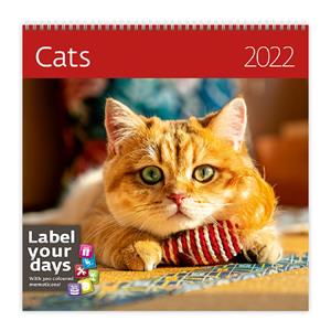 Wall Calendar 2022 - Cats