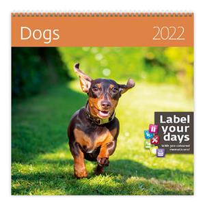 Wall Calendar 2022 - Dogs