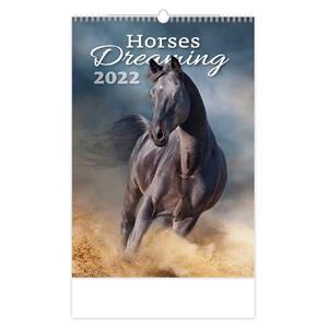 Wall Calendar 2022 - Horses Dreaming