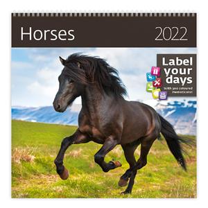 Wall Calendar 2022 - Horses