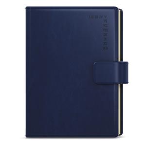 Daily Diary 2023 Ctirad with cutout- Manager A5 - Blue