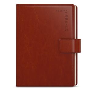 Daily Diary 2023 Ctirad with cutout- Manager A5 - Brown