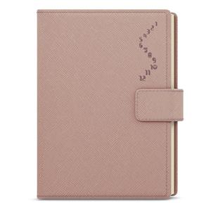 Daily Diary 2023 Ctirad with cutout- Manager color A5 - Powder