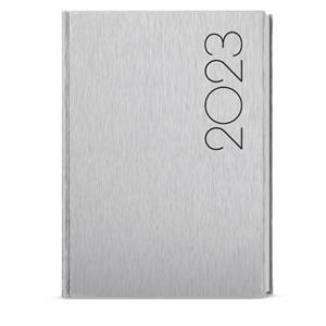 Daily Diary 2023 David ForMen A5 - Silver