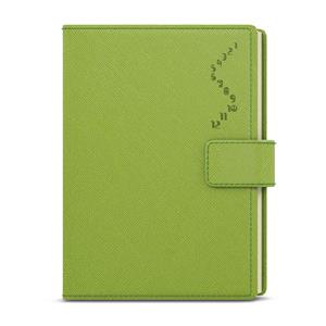 Daily Diary 2025 Ctirad with cutout - Manager color A5 - green