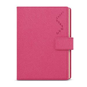 Daily Diary 2025 Ctirad with cutout - Manager color A5 - pink