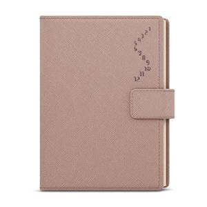 Daily Diary 2025 Ctirad with cutout - Manager color A5 - powder