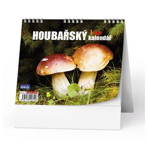 Desk Calendar 2022 IDEAL - Mushrooms