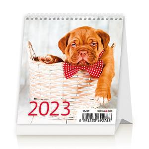 Desk Calendar 2023 - Mini Puppies