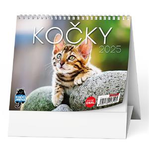 Desk Calendar 2025 IDEÁL - Cats /with cat names/