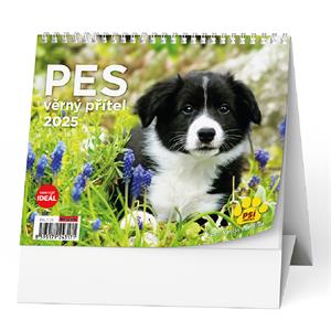 Desk Calendar 2025 IDEAL - Dog - faithful friend /with dog names/