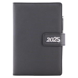 Diary BRILLIANT daily A5 2025 Czech - black