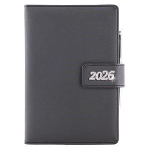 Diary BRILLIANT daily A5 2026 Czech - black
