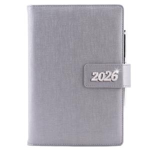 Diary BRILLIANT daily A5 2026 Czech - silver