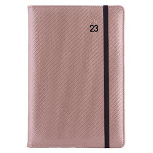 Diary ELASTIC daily A5 2023 Czech - powdery/black rubber band