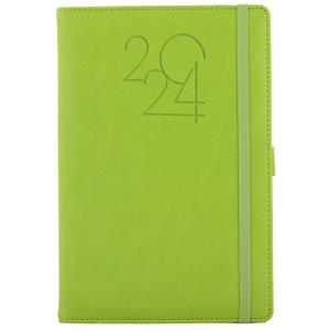 Diary POLY daily A5 2024 Czech - light green