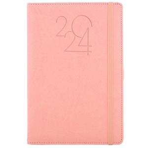 Diary POLY daily A5 2024 Czech - light pink