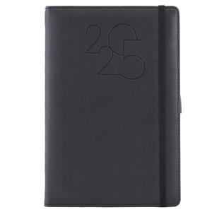 Diary POLY daily A5 2025 Czech - black