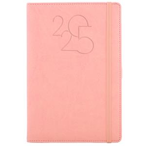 Diary POLY daily A5 2025 Czech - light pink