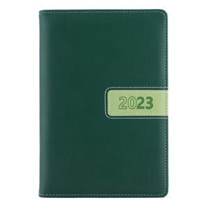 Diary RIGA daily A5 2023 Czech - green