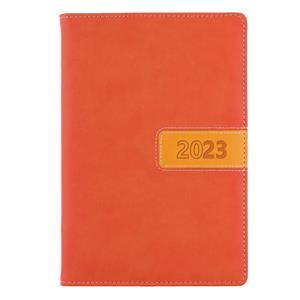 Diary RIGA daily A5 2023 Czech - orange