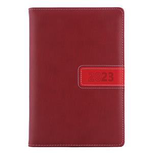 Diary RIGA daily A5 2023 Czech - red