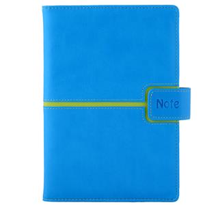 Note MAGNETIC A5 Lined - blue/green