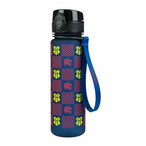 Tritan bottle Harry Potter Hogwarts, 500 ml