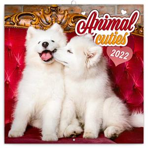 Wall Calendar 2022 Baby Animals