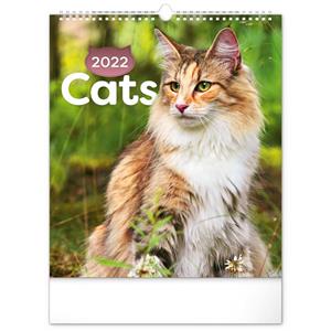 Wall Calendar 2022 Cats