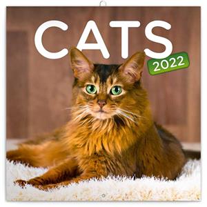Wall Calendar 2022 Cats