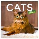 Wall Calendar 2022 Cats