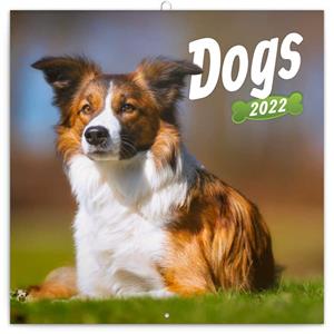 Wall Calendar 2022 Dogs