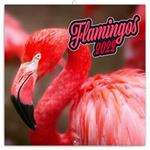 Wall Calendar 2022 Flamingos