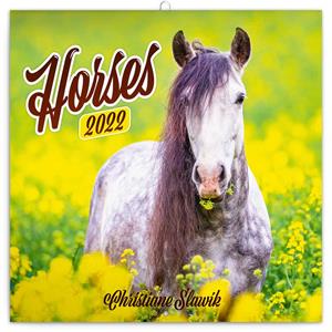 Wall Calendar 2022 Horses