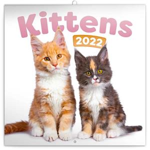 Wall Calendar 2022 Kittens