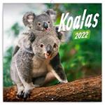Wall Calendar 2022 Koalas