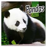 Wall Calendar 2022 Pandas
