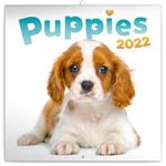 Wall Calendar 2022 Puppies