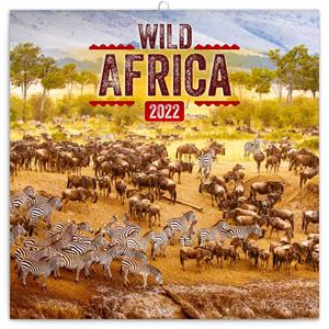 Wall Calendar 2022 Wild Africe