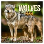 Wall Calendar 2022 Wolves