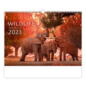 Wall Calendar 2023 - Wildlife