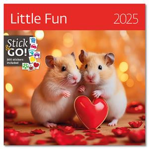 Wall Calendar 2025 - Little Fun