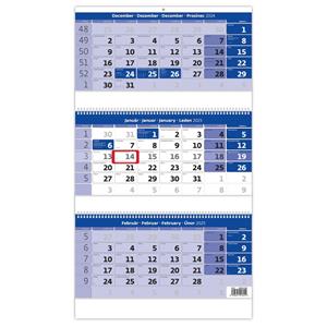 Wall Calendar 2025 - Threemonths Calendar bue Twin Wire