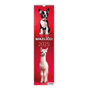 Wall Calendar 2025 Tie - Pets
