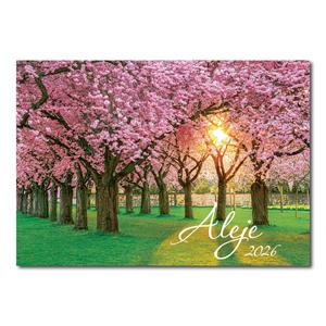 Wall calendar 2026 - Alleys