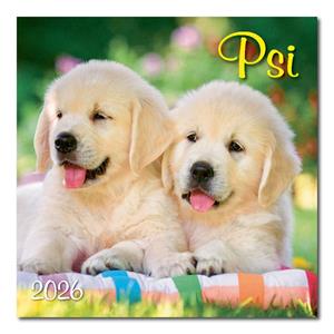 Wall calendar 2026 - Dogs