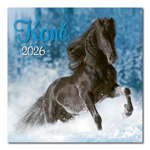 Wall calendar 2026 - Horses